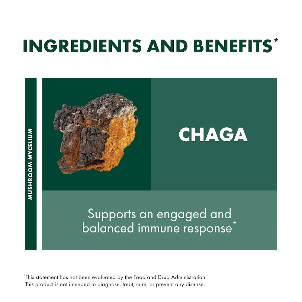 Chaga Capsules - Image 13