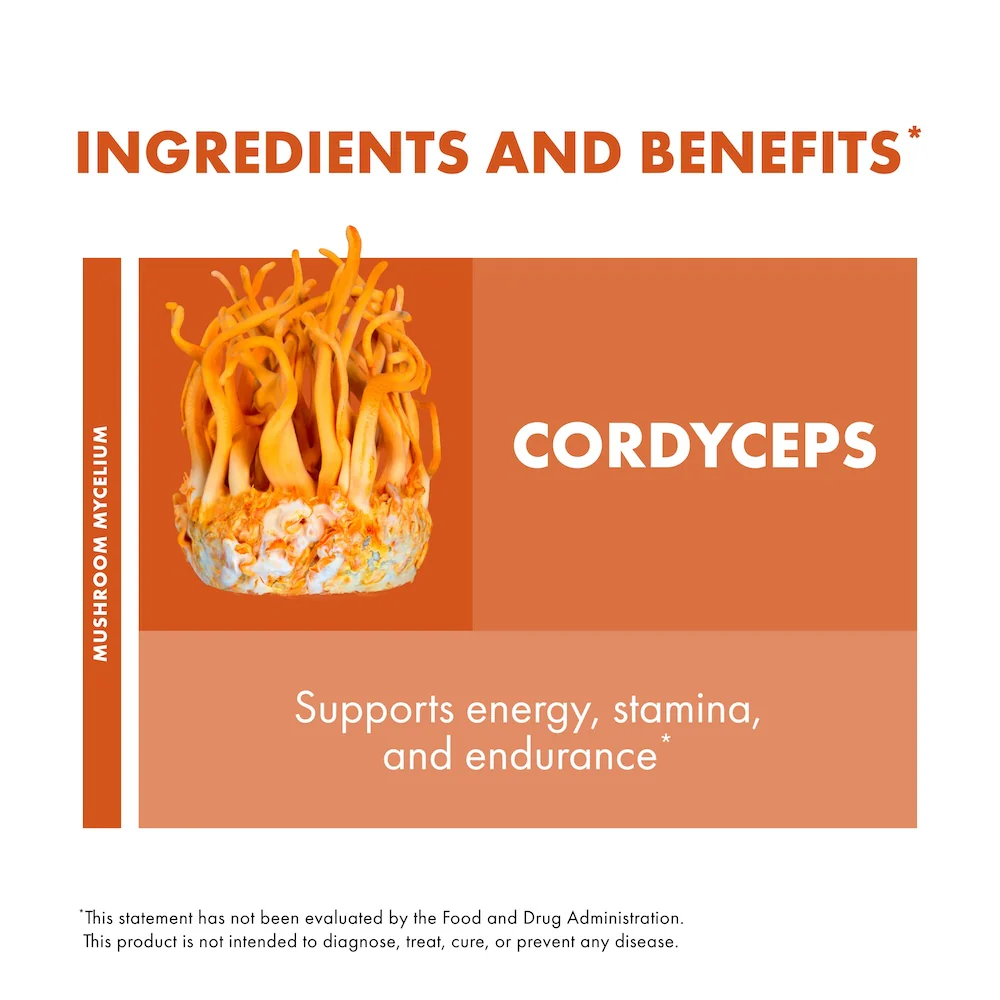 Cordyceps Extract - Image 13