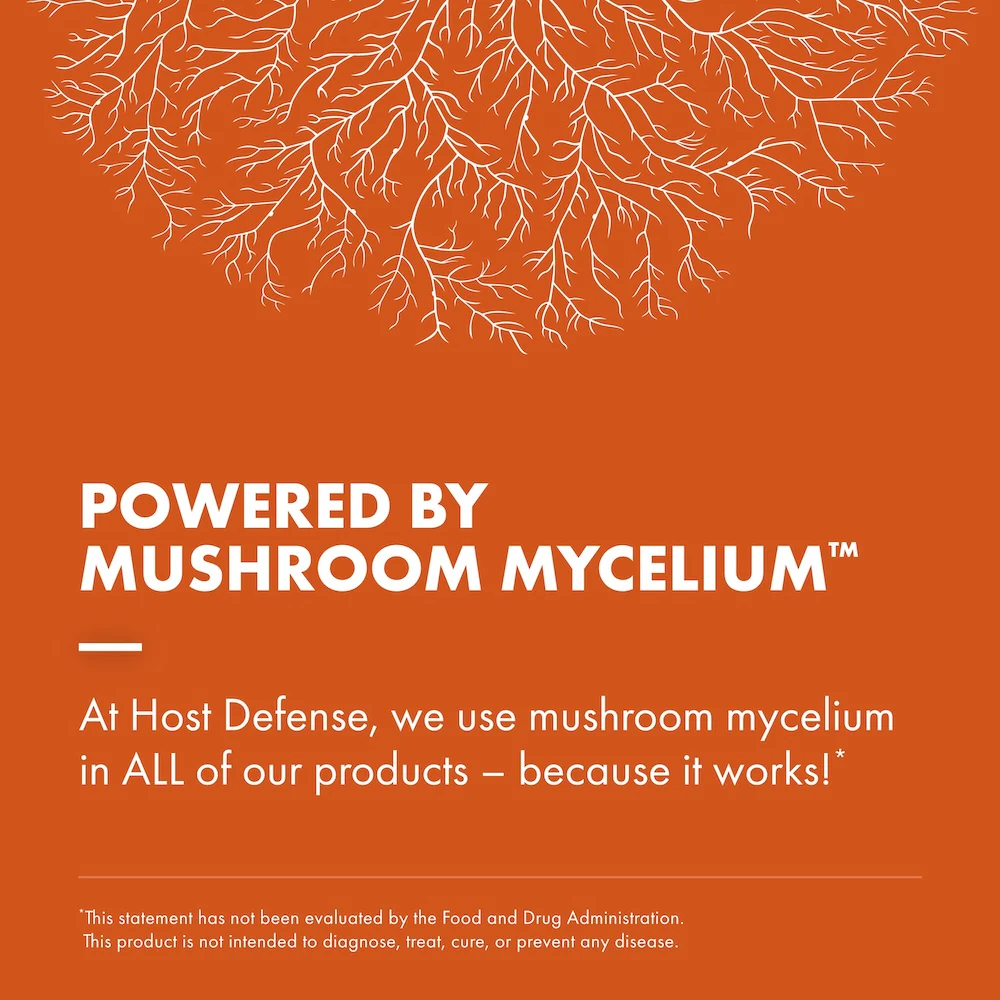 Cordyceps Extract - Image 7