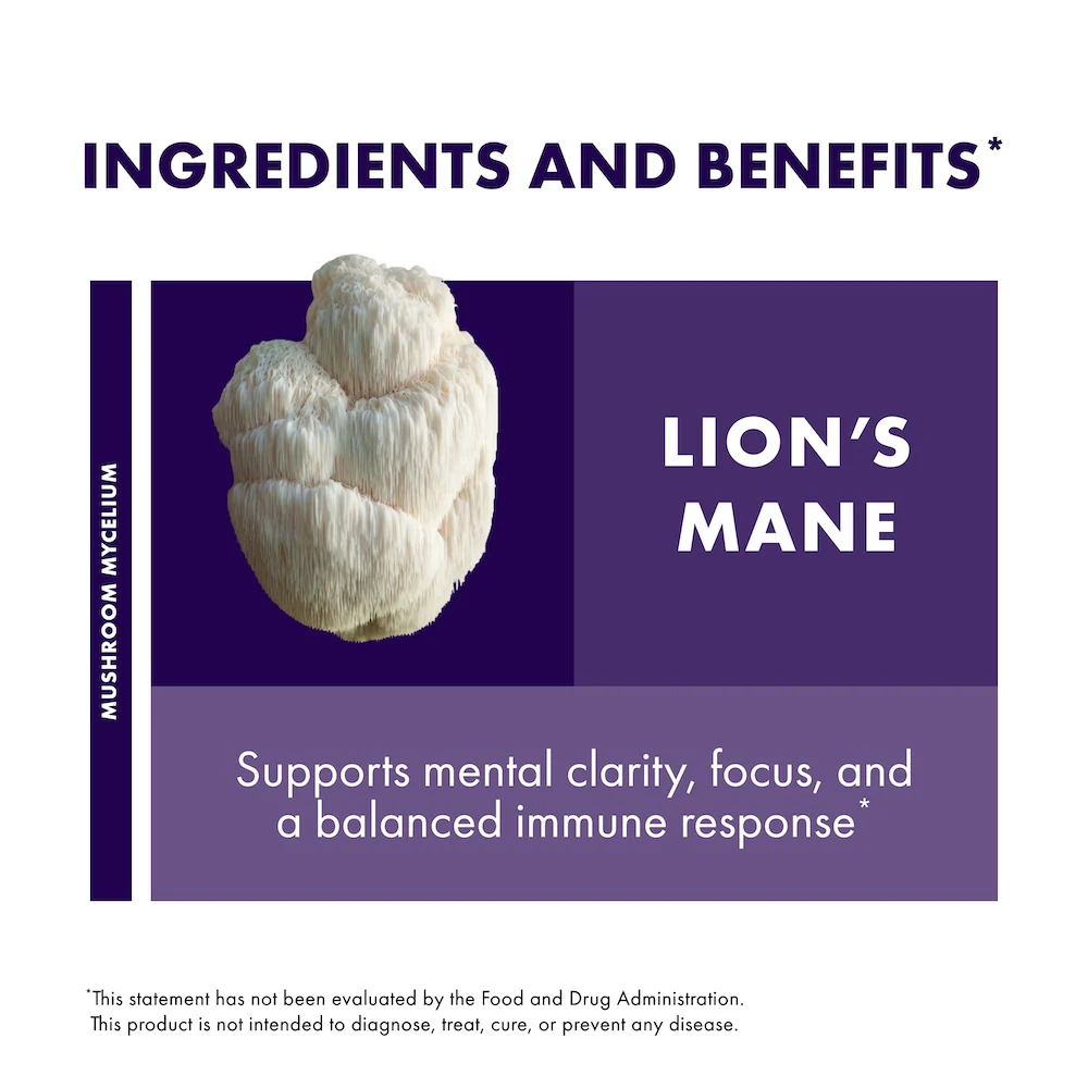 Lion's Mane Extract - Image 13