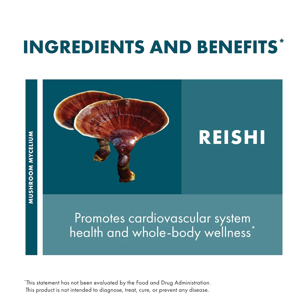 Reishi Capsules - Image 21