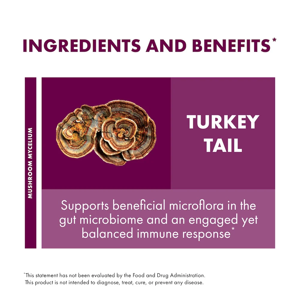 Turkey Tail Extract - Image 5